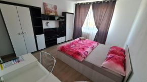 Garsoniera 30mp ChrysFlatty 1 - FREE Netflix